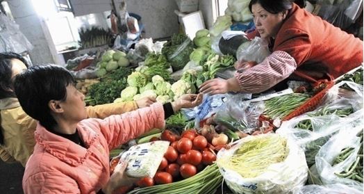 蔬菜的选购与鉴别