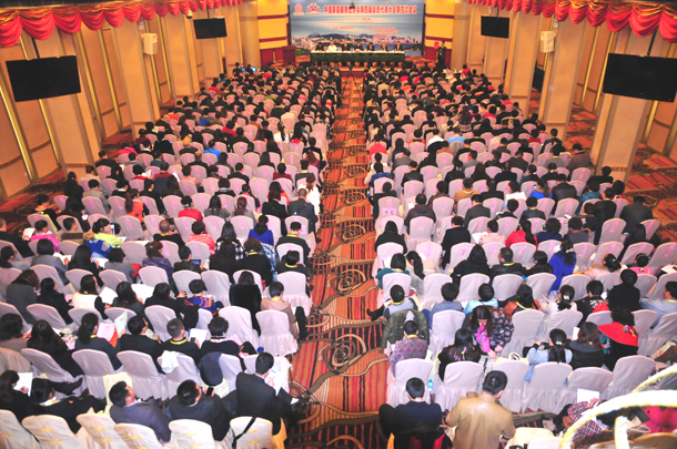 中国家庭服务业协会第四届会员代表大会第四次会议顺利召开